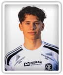 Danel Hasic