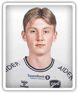 Anders Hartveit Ryste