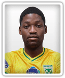 Sphelele Shandu