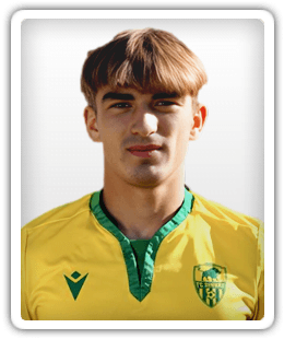 Mihai Morozan