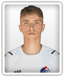 Matvey Fedin