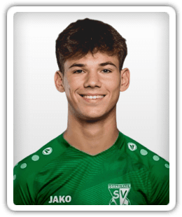 Darko Stajnko