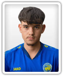Nico Nizic