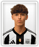 Tarik Brkic