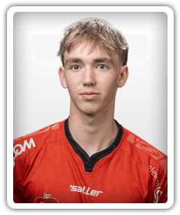 Helgi Fróði Ingason