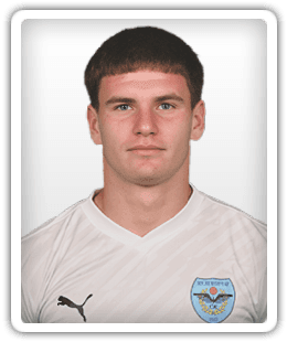 David Ivić