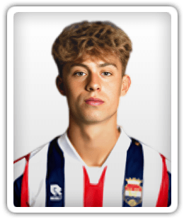 Haye van Gemert