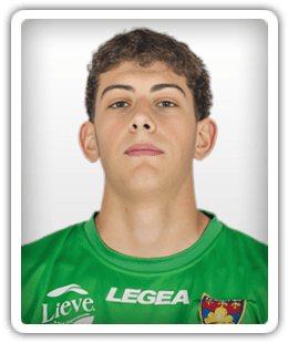 Niccolò Stacchiotti