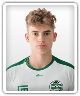 Nico Ebner