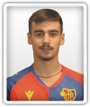 Nikola Gajic