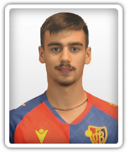 Nikola Gajic