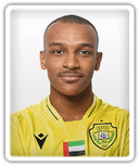 Ali Ismail