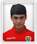 Tigran Vardanyan