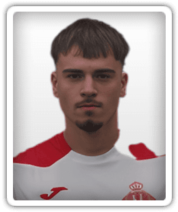 Boro Mišović