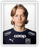 Heine Gikling Bruseth