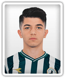 Şahin Dik