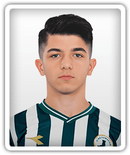 Şahin Dik
