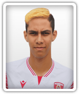Heihau Hanere