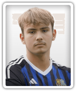 Arthur Dos Santos Reis