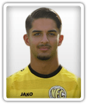 Maximilian Ibisevic