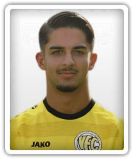 Maximilian Ibisevic