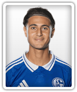 Ayman Gulasi