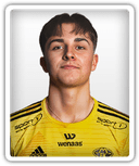 Mads Eikrem Myklebust