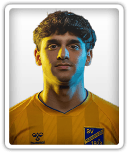 Yasin Varol