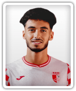 Mohamed Hedi Hadouchi