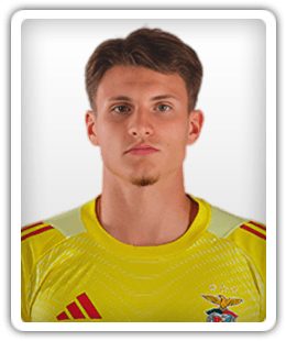 Arnas Voitinovičius