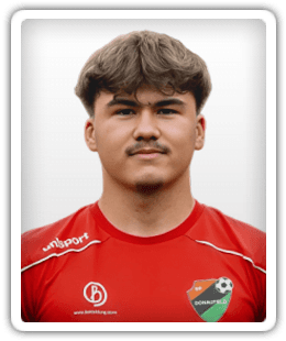 Tarik Mulasalihovic