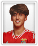 Dinis Telehovschi