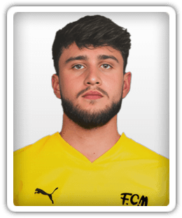 Dominik Dewein