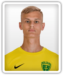 Sebastian Mlynar