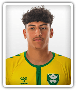 Audin Dario