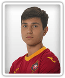 Tigran Gevorgyan