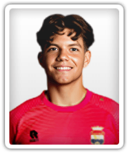 Vince van der Bas