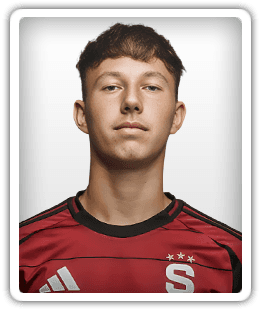Radek Šiler