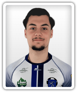 Anej Polak
