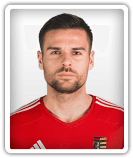 Ajdin Mujagić