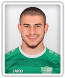 Mitko Mitkov