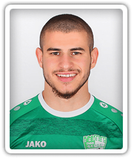 Mitko Mitkov