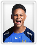 Irfan Fandi