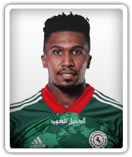 Majed Al-Najrani