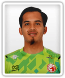 Nik Mohd Amin Ahmad