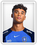 Ikhsan Fandi