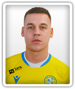 Nikola Krajinović