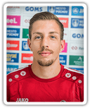 Patrik Krcula