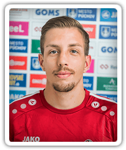 Patrik Krcula