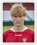 Niklas Sigtenborg